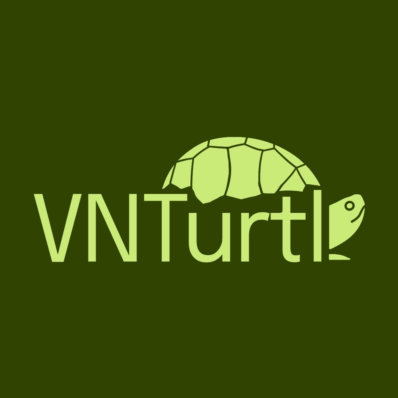 VNTurtle Logo
